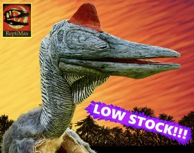 2026 Mapu main picture text 2 low stock